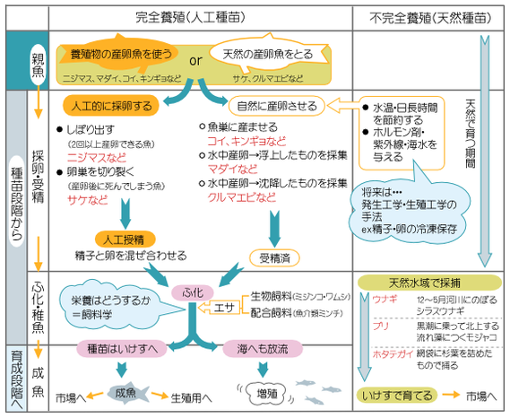 水圏動物学 みらいぶプラス 河合塾
